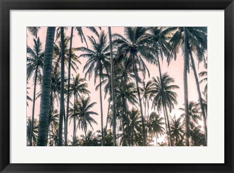 Framed Palms View on Pink Sky I Print