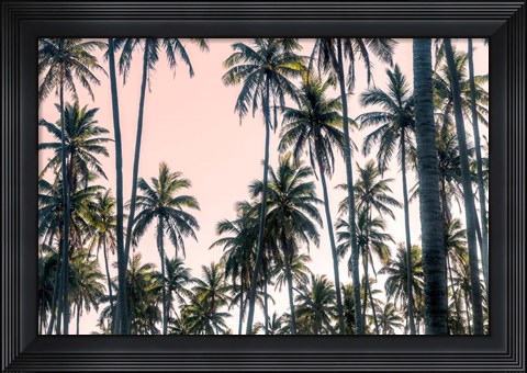 Framed Palms View on Pink Sky II Print