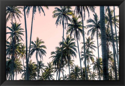 Framed Palms View on Pink Sky II Print