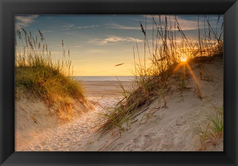 Framed Coastal Dunes Print