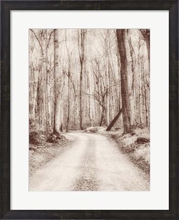 Framed Road in the Woods Print