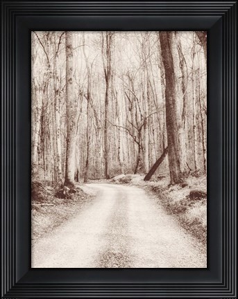 Framed Road in the Woods Print