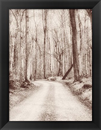 Framed Road in the Woods Print