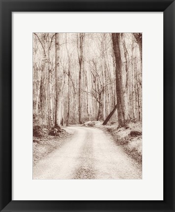 Framed Road in the Woods Print