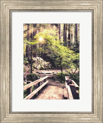 Framed Sunlight on the Forest Path Print