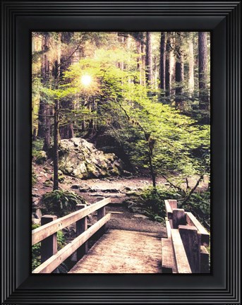 Framed Sunlight on the Forest Path Print