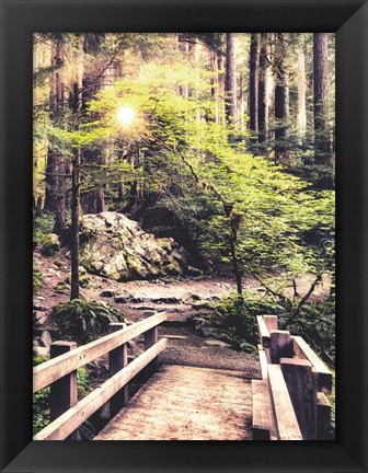 Framed Sunlight on the Forest Path Print