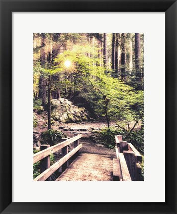 Framed Sunlight on the Forest Path Print