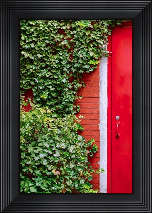 Framed Red Garden Door Print