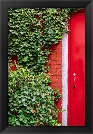 Framed Red Garden Door Print