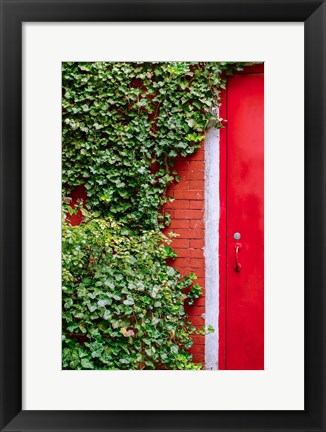 Framed Red Garden Door Print