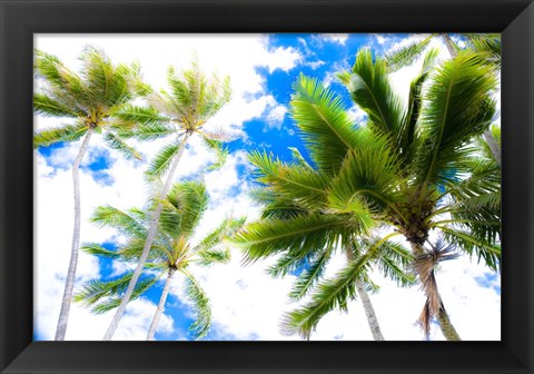 Framed Hawaii Oahu Palms Print