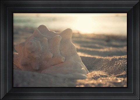 Framed Concha I Print