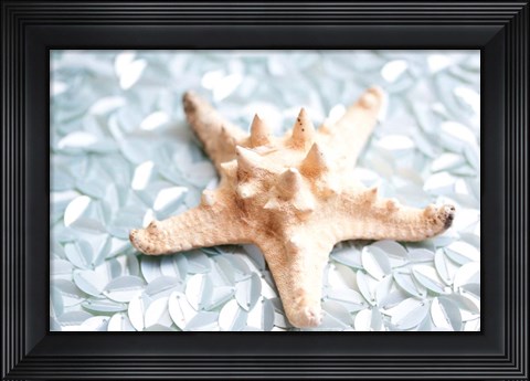 Framed Shimmer Shells II Print