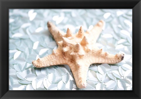 Framed Shimmer Shells II Print