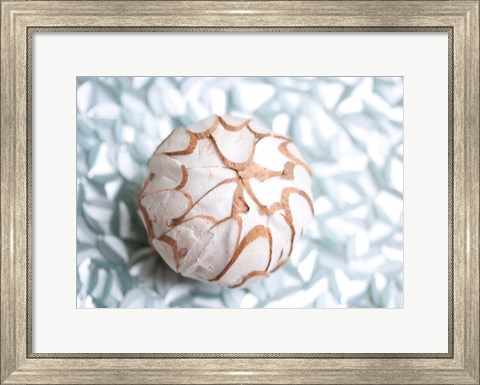 Framed Shimmer Shells I Print