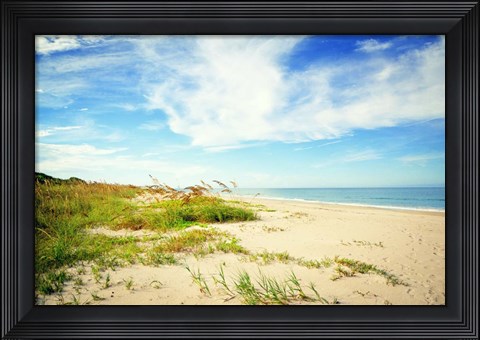 Framed Shores View Print