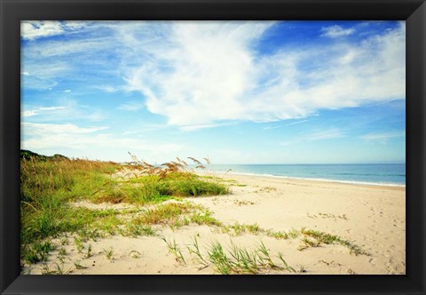 Framed Shores View Print