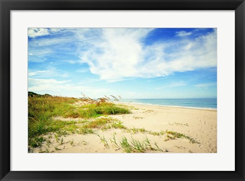 Framed Shores View Print