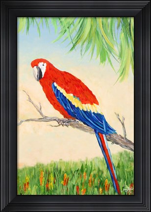 Framed Tropic Bird in Paradise I Print