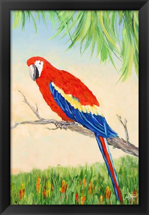 Framed Tropic Bird in Paradise I Print