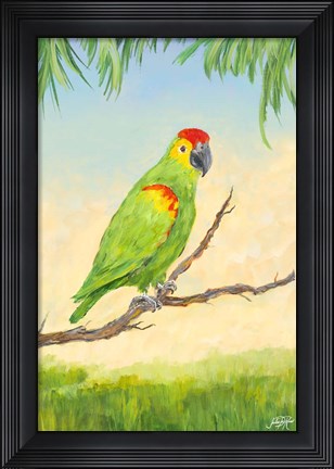 Framed Tropic Bird in Paradise II Print