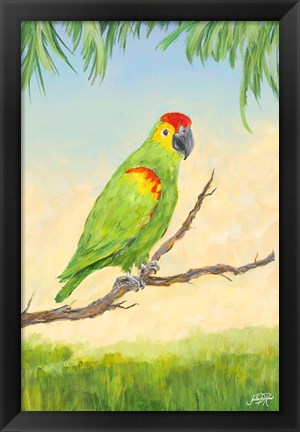 Framed Tropic Bird in Paradise II Print