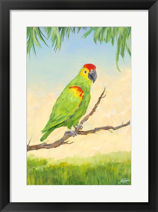 Framed Tropic Bird in Paradise II Print