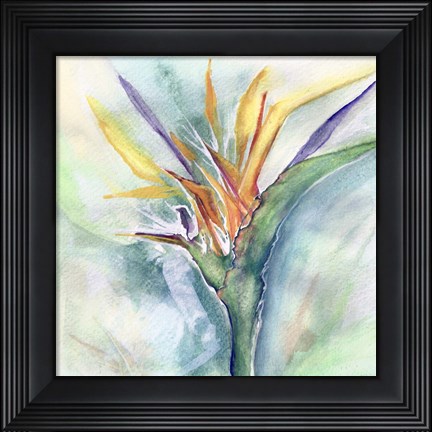 Framed Bird of Paradise I Print