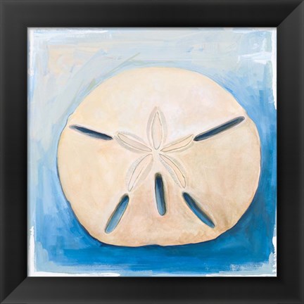 Framed Sand Dollar on Blue Print