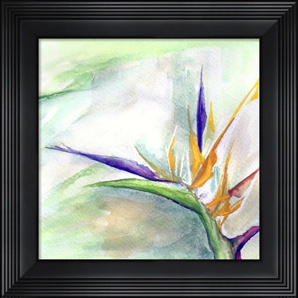 Framed Bird of Paradise II Print