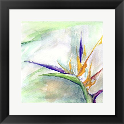 Framed Bird of Paradise II Print