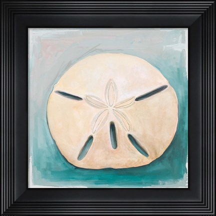 Framed Sand Dollar on Teal Print