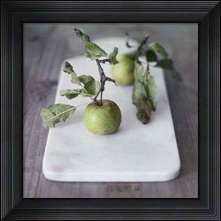 Framed Growth Begins Print