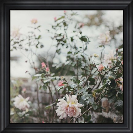 Framed Spring Views Print