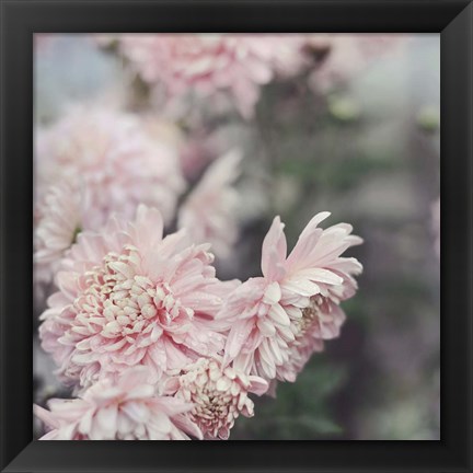 Framed Evening Blooms Print