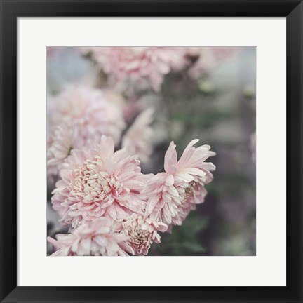 Framed Evening Blooms Print