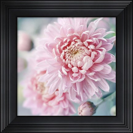 Framed Romantic Blossom Print