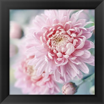 Framed Romantic Blossom Print