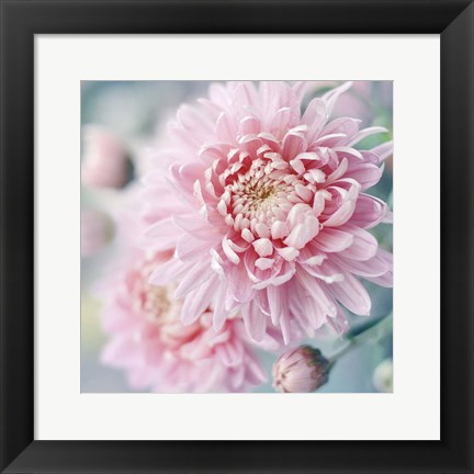 Framed Romantic Blossom Print