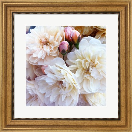 Framed Full Blossoms Print
