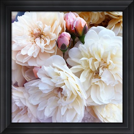 Framed Full Blossoms Print