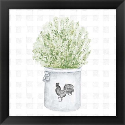 Framed Farm Herbs II Print