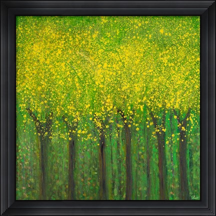 Framed Awakening Print