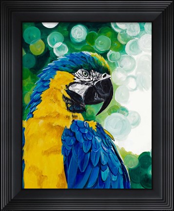 Framed Brilliant Parrot Print