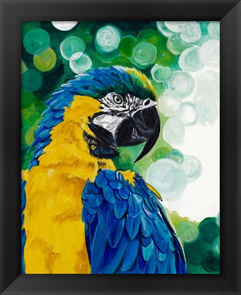 Framed Brilliant Parrot Print