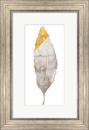 Framed Gray and Gold Feather Print