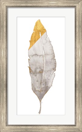 Framed Gray and Gold Feather Print