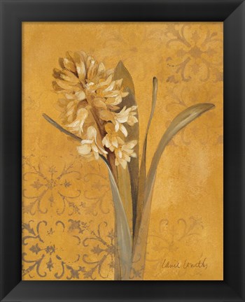 Framed Hyacinth I Print