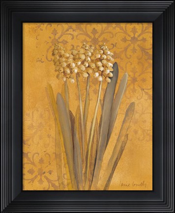 Framed Hyacinth II Print